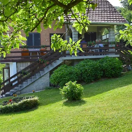 Apartmán Jovanovic-rudnik *