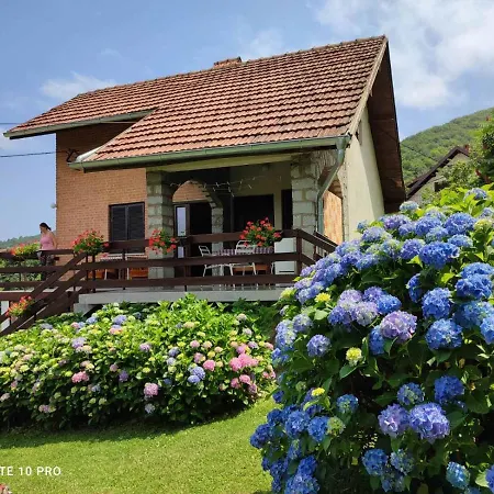 Apartment Jovanovic-rudnik *