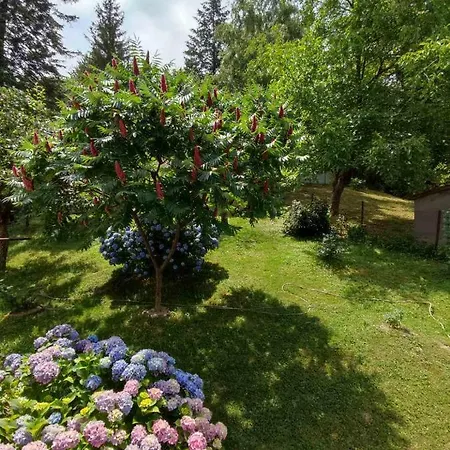 Apartmán Jovanovic-rudnik *