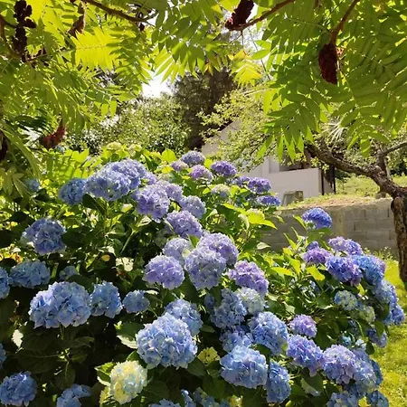 Jovanovic-rudnik Apartmán Rudnik