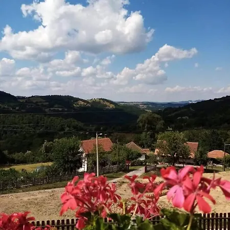 Apartment Jovanovic-rudnik Rudnik