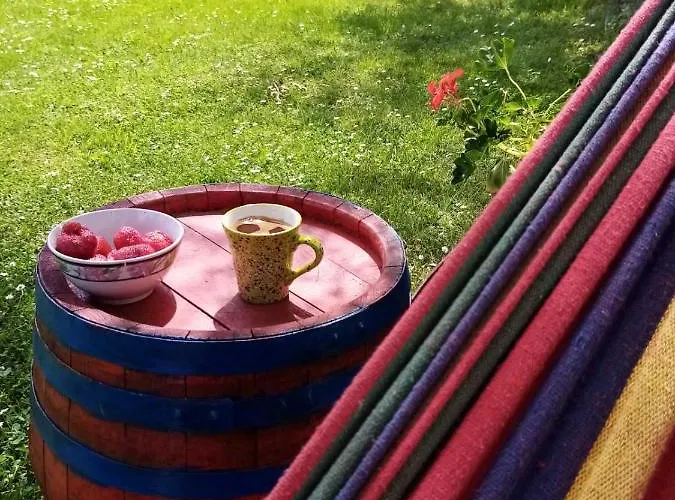 Jovanovic-rudnik Διαμέρισμα *