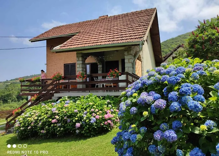 Διαμέρισμα Jovanovic-rudnik *