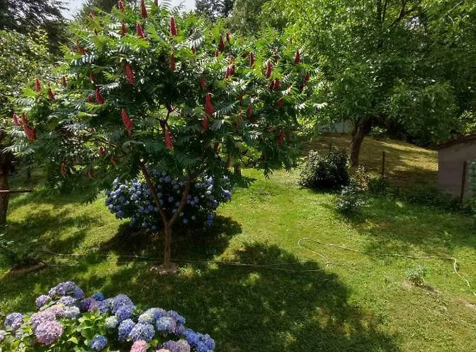 Διαμέρισμα Jovanovic-rudnik *