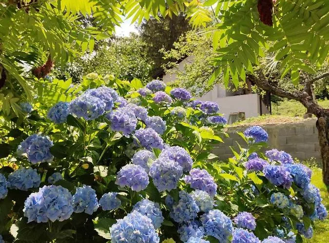 Jovanovic-rudnik Διαμέρισμα Rudnik