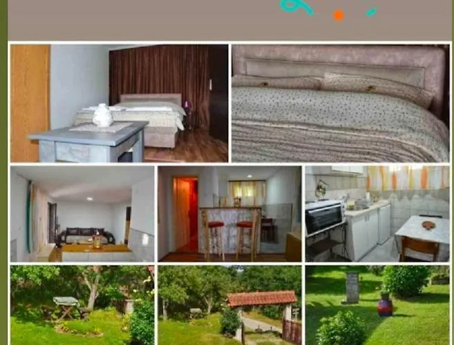 Jovanovic-rudnik * Rudnik